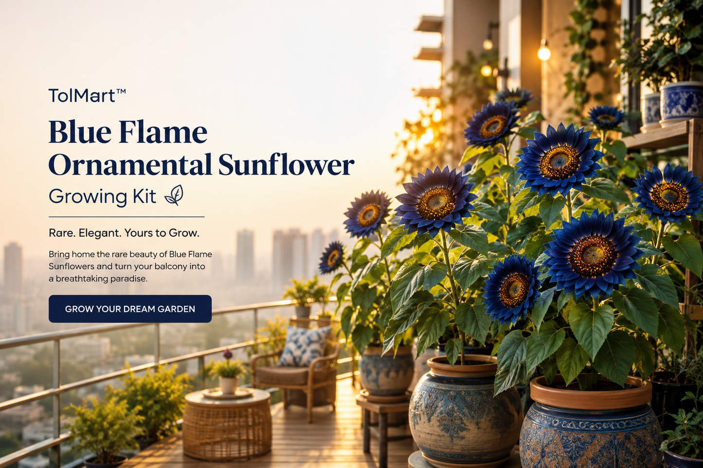 🌻 TolMart™ Blue Flame Ornamental Sunflower Growing Kit
