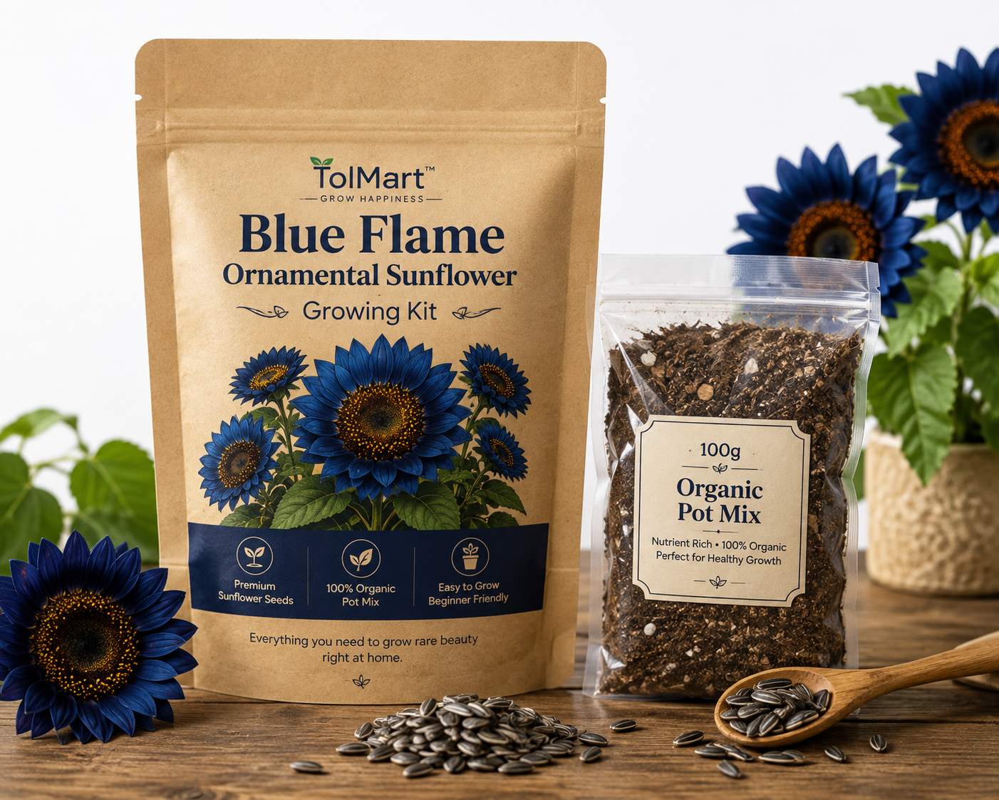 🌻 TolMart™ Blue Flame Ornamental Sunflower Growing Kit